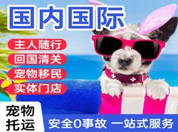乌兰察布航空快递国际宠物托运 【国